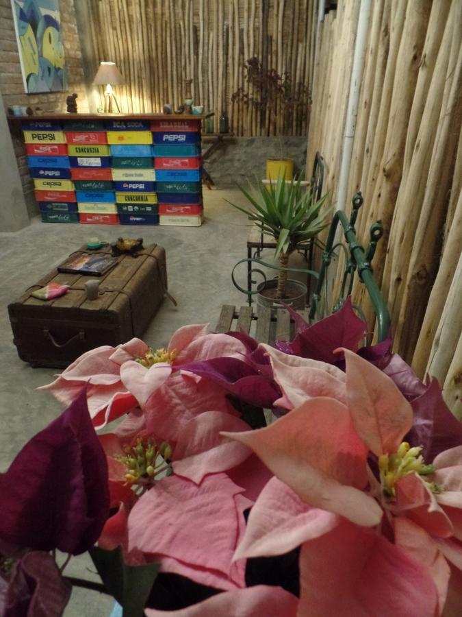 The Upcycled Hostel Huacachina Ica Ngoại thất bức ảnh